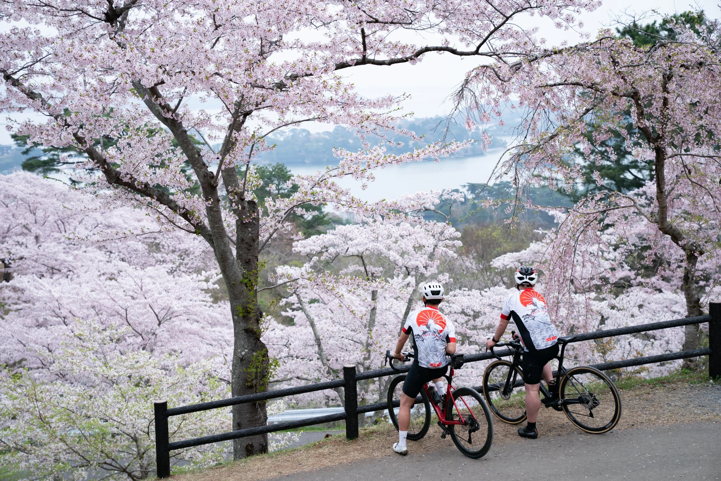 Cycle Japan Tours